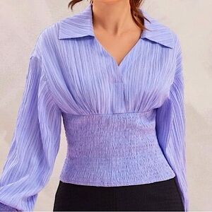 NWT, Lavishly Paris V Neck Collared Violet / Lavender Blouse.